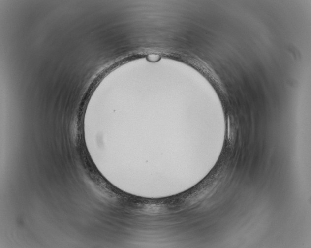 X0000110320204200907021208