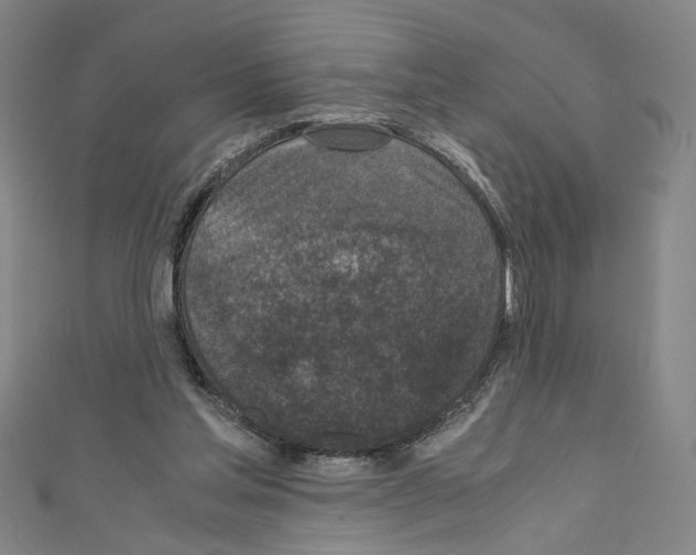 X0000110320205200907021208