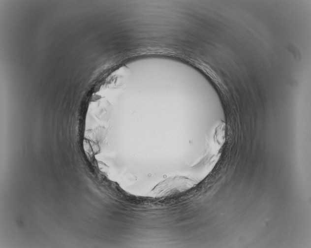 X0000110320207200907021208