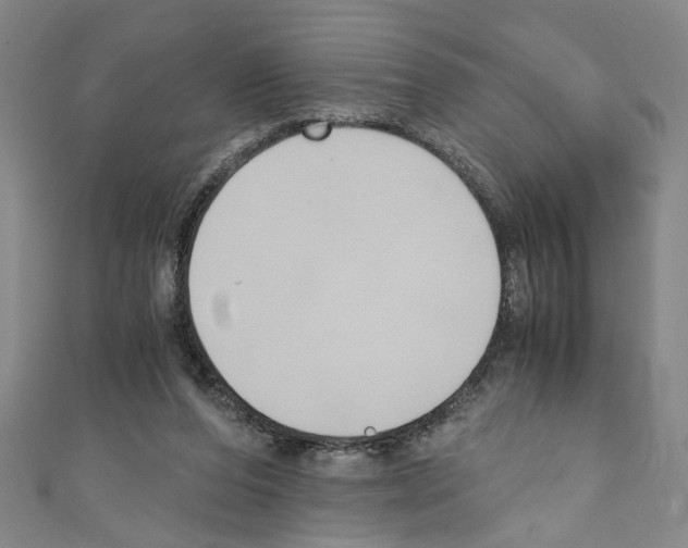 X0000110320208200907021208