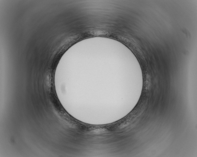 X0000110320210200907021208