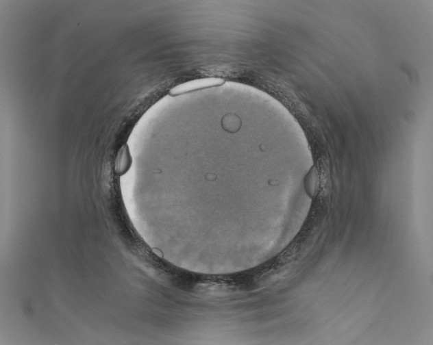 X0000110320211200907021208