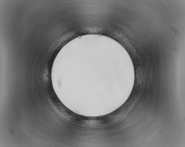 X0000110320212200907021208