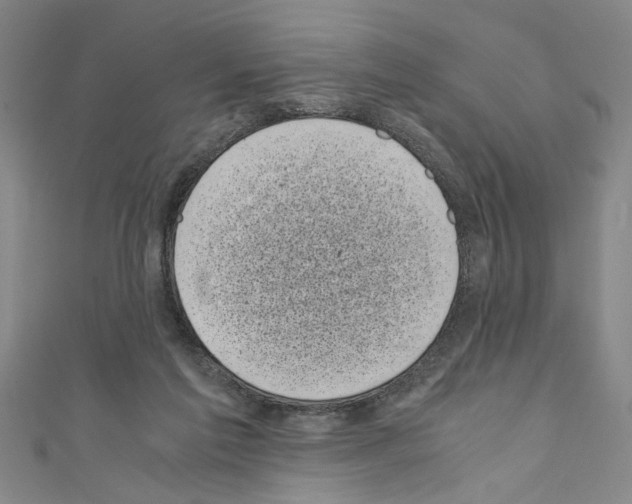 X0000110320213200907021208