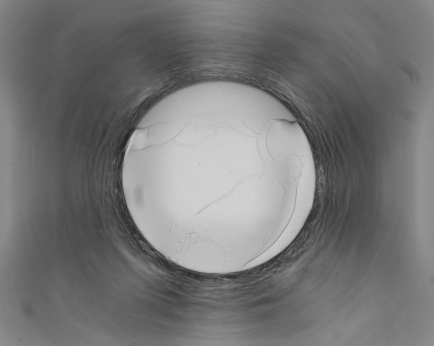 X0000110320215200907021208