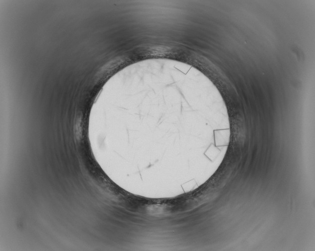 X0000110320216200907021208