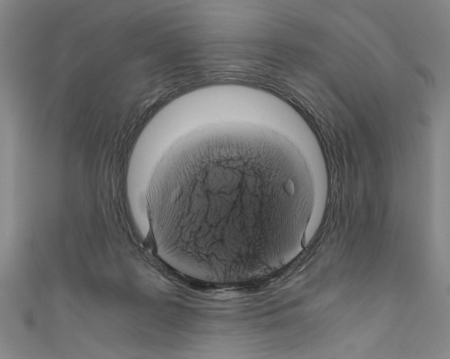 X0000110320219200907021208