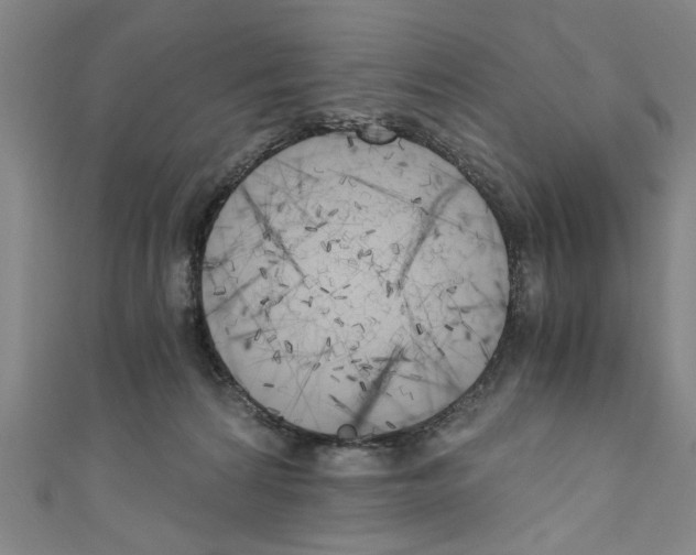 X0000110320224200907021208