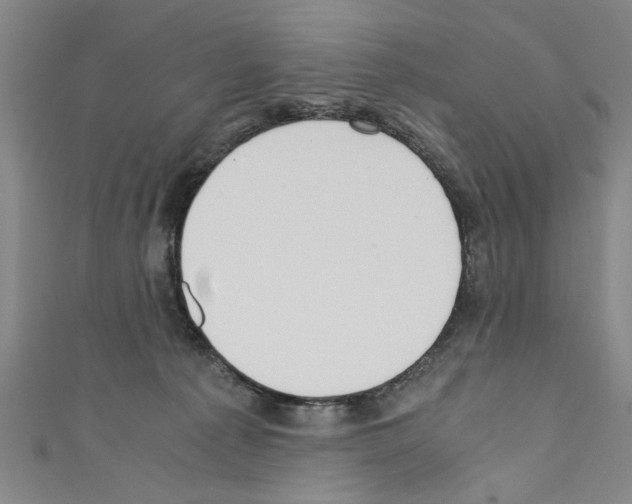 X0000110320225200907021208