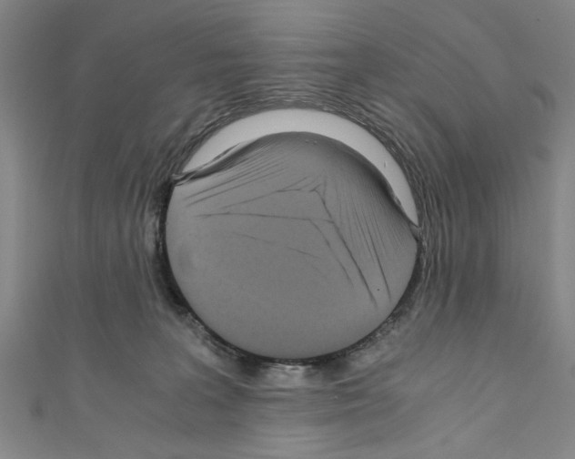 X0000110320227200907021208