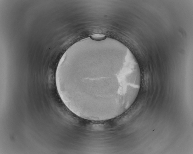 X0000110320228200907021208