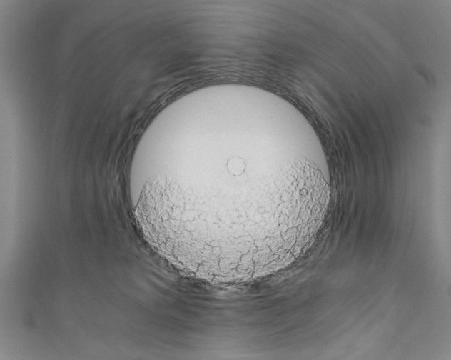 X0000110320229200907021208