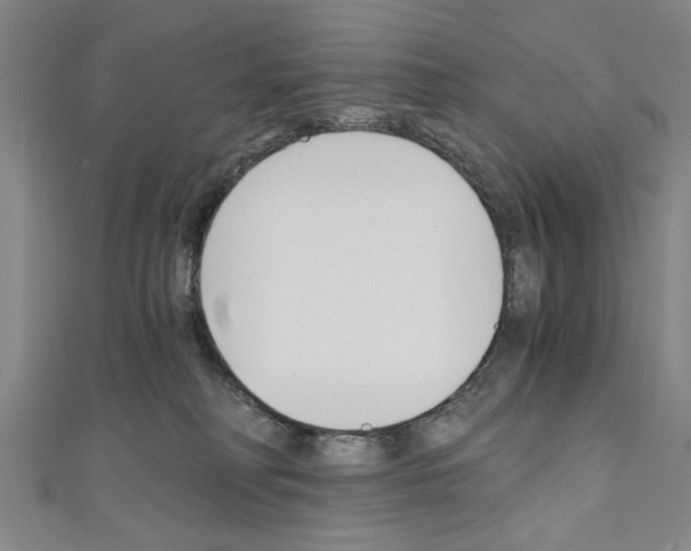 X0000110320230200907021208