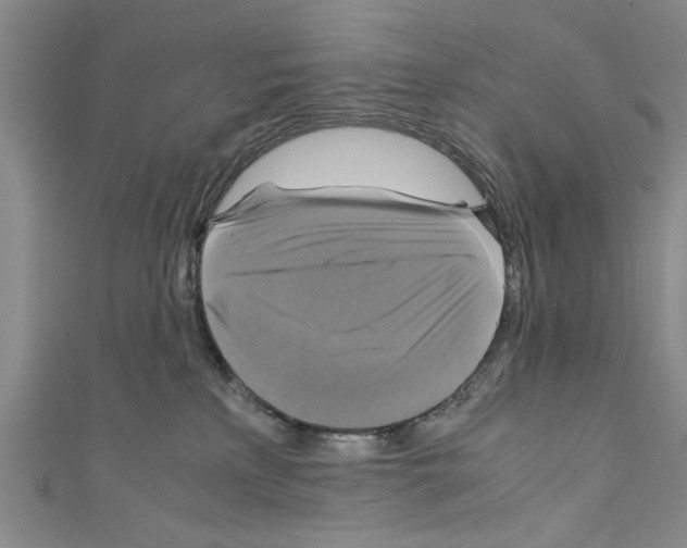 X0000110320233200907021208