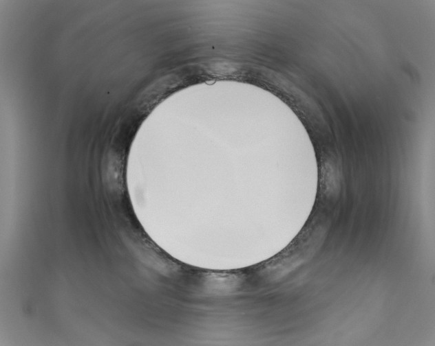 X0000110320234200907021208