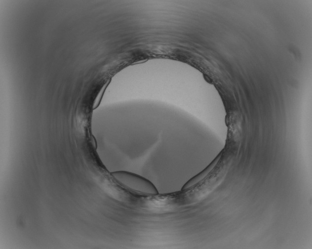 X0000110320235200907021208