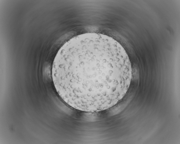 X0000110320238200907021208