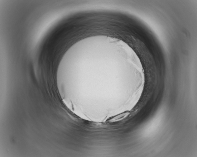 X0000110320239200907021208