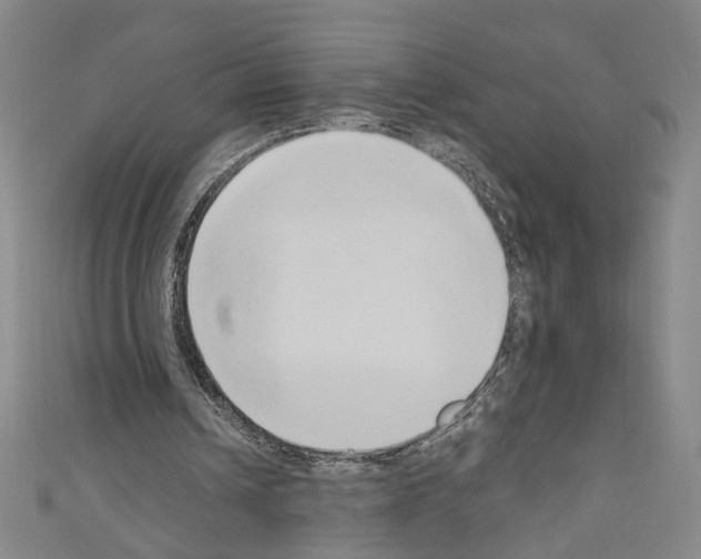 X0000110320242200907021207