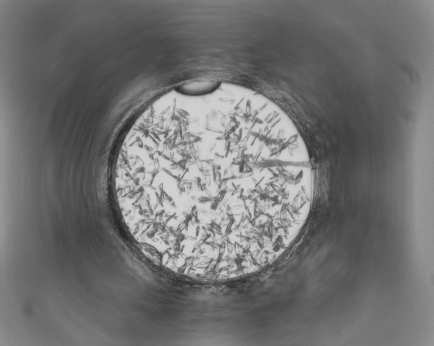 X0000110320243200907021207