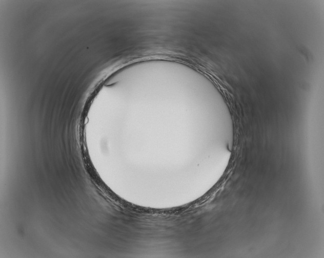 X0000110320244200907021207