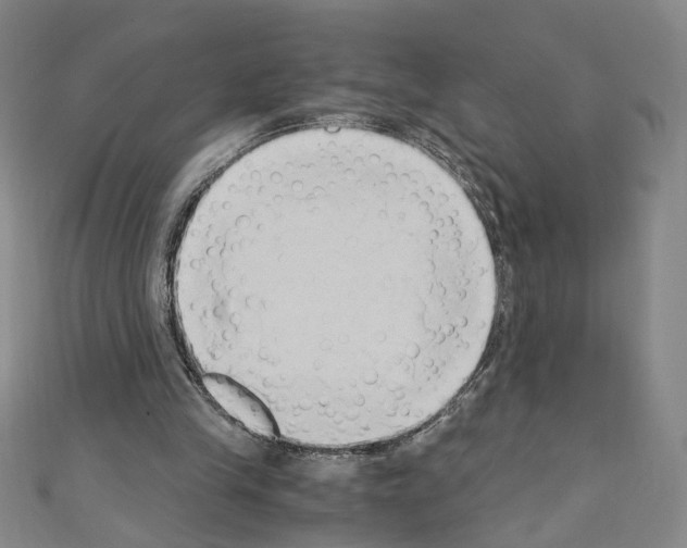 X0000110320245200907021207