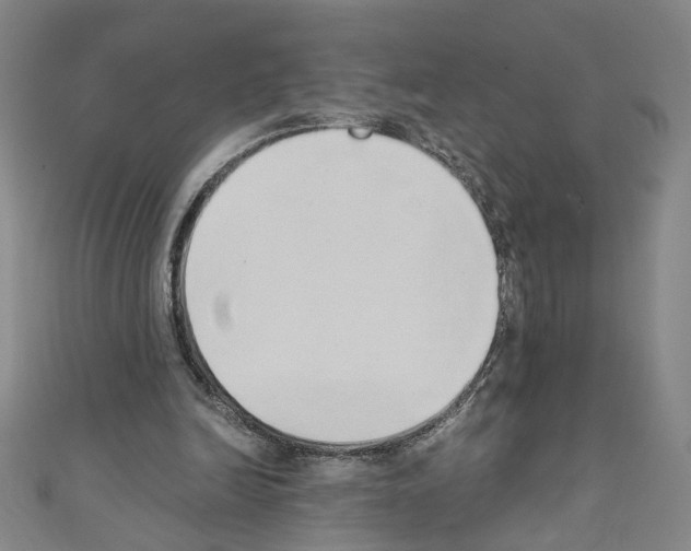 X0000110320246200907021207