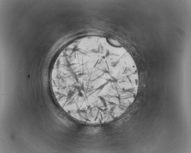 X0000110320247200907021207