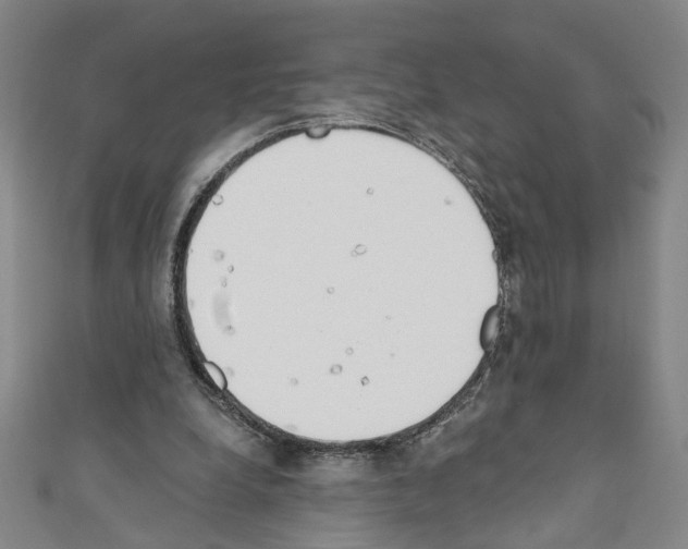 X0000110320248200907021208