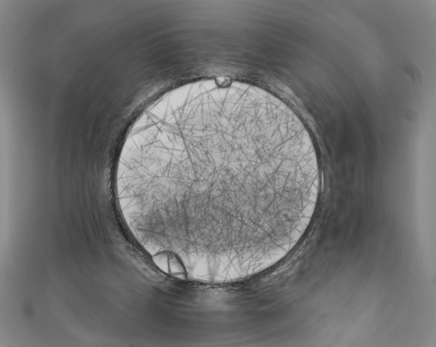 X0000110320249200907021208