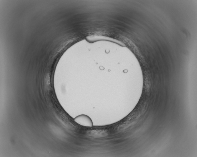 X0000110320251200907021208