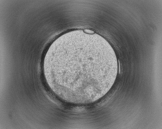 X0000110320252200907021208