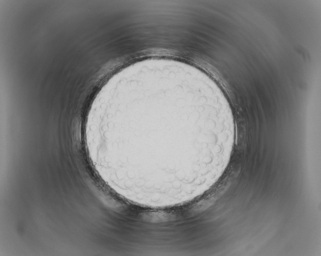 X0000110320253200907021208