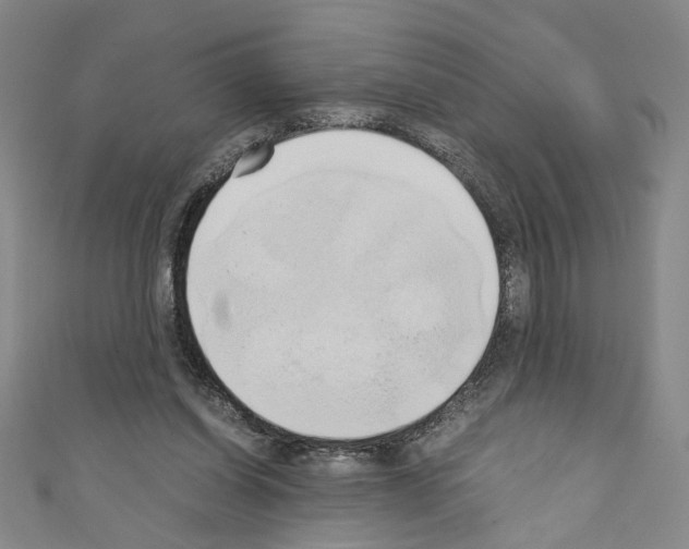 X0000110320254200907021208