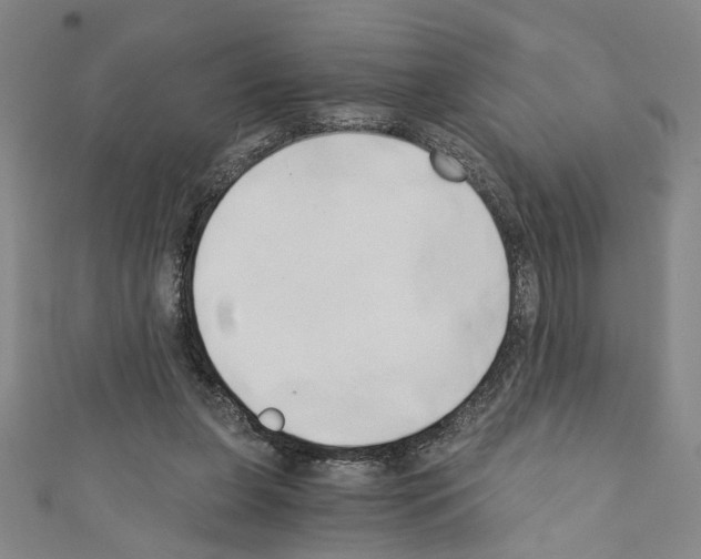 X0000110320255200907021208