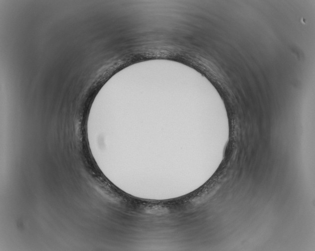 X0000110320258200907021208