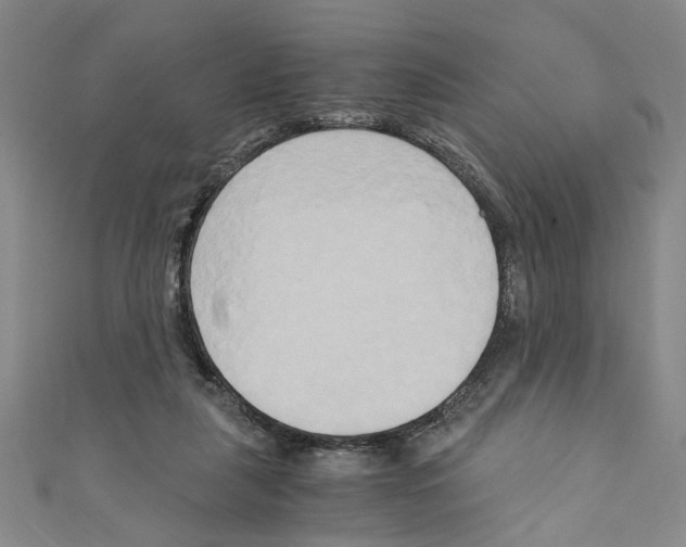 X0000110320259200907021208