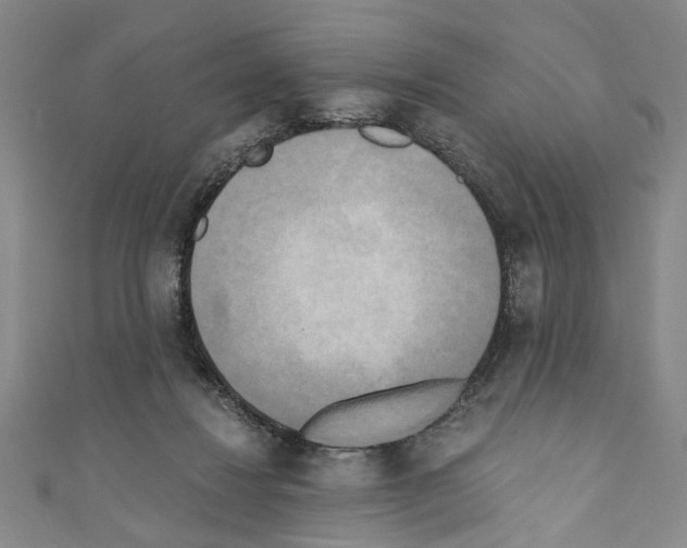 X0000110320260200907021208