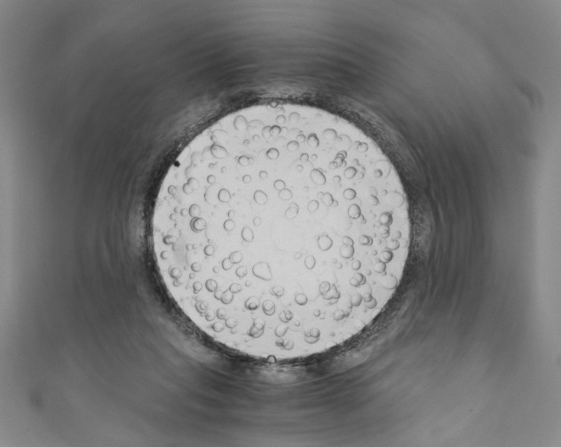 X0000110320261200907021208