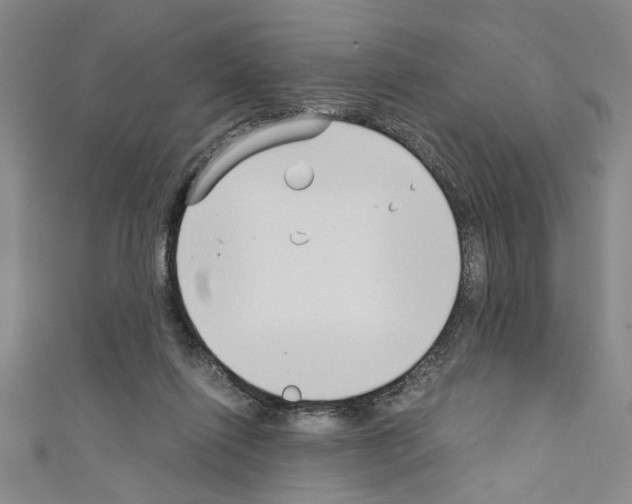 X0000110320262200907021208