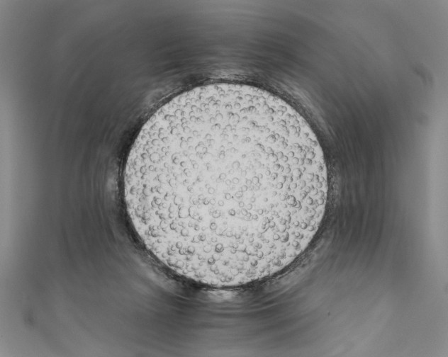 X0000110320265200907021208