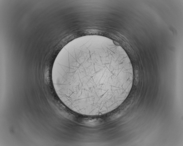 X0000110320267200907021208