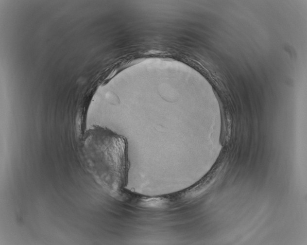 X0000110320269200907021208