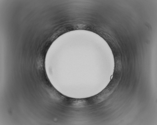 X0000110320274200907021208