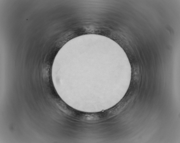 X0000110320275200907021208