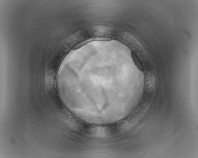 X0000110320276200907021208