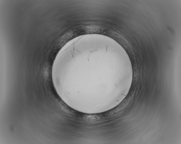 X0000110320277200907021208