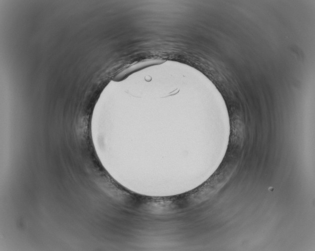 X0000110320278200907021208