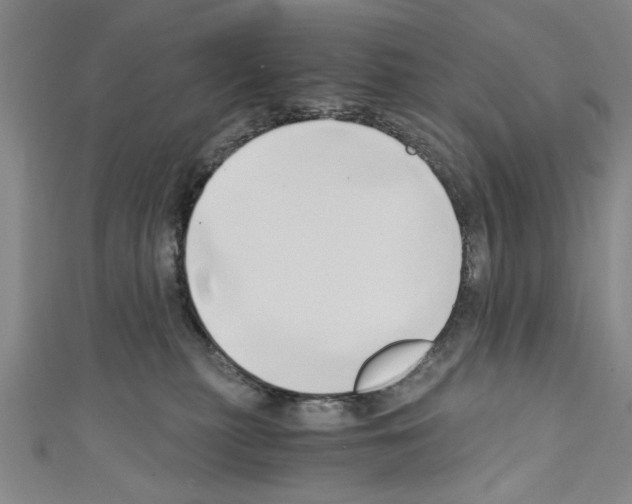 X0000110320279200907021208