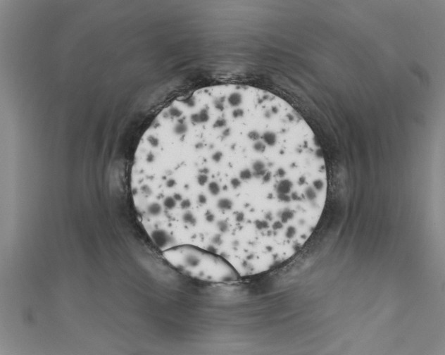 X0000110320280200907021208